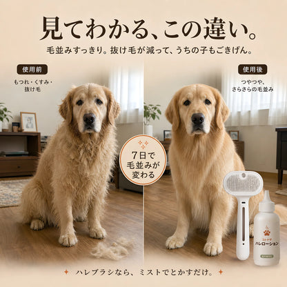 コトナデ™ ハレブラシ＋ハレローション セット