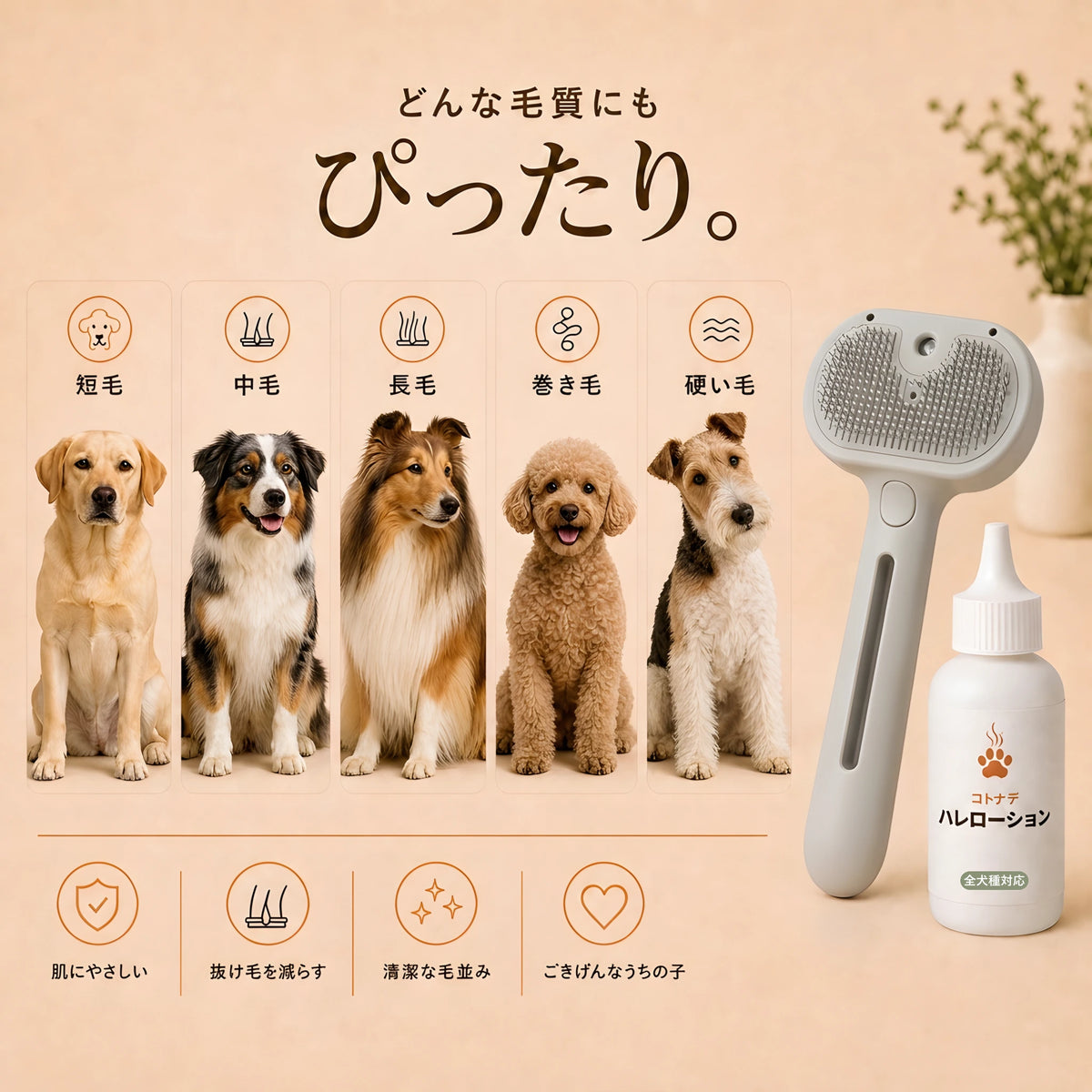 コトナデ™ ハレブラシ＋ハレローション セット