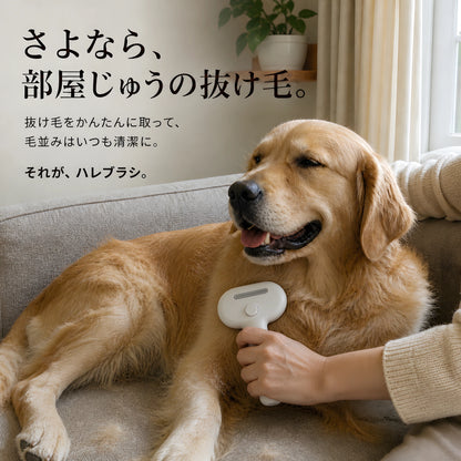 コトナデ™ ハレブラシ＋ハレローション セット