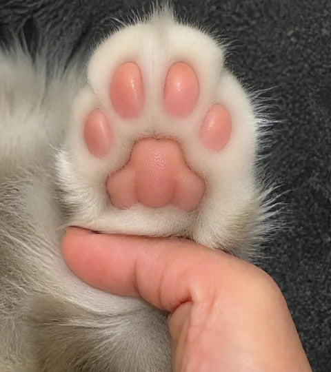使用後